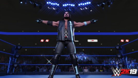 Ilustracja do: WWE 2K19 – Poradnik do trofeów i osiągnięć