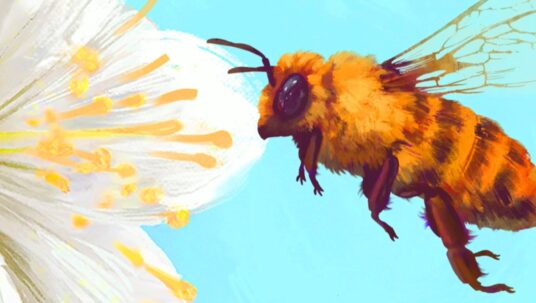 Ilustracja do: Bee Simulator – Poradnik do trofeów i osiągnięć