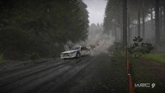 Ilustracja do: WRC 9 – Opinia