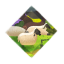 Ikona osiągnięcia: Zaklinacz Owiec</span> / <span>Sheep Whisperer