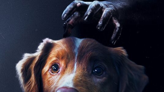 Ilustracja do: KONKURS: Wygraj zaproszenia na film „GOOD BOY” do kina Helios!
